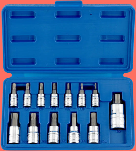 Professional-Grade 13-Piece Torx Bit T-Socket Set